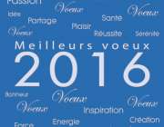 Voeux des Personnalitées pour 2016 - Mr Le minez-Mme Pierard-Mr Cambier - Mr Ducarne-Mr Bricout-Mr Fauquembergue